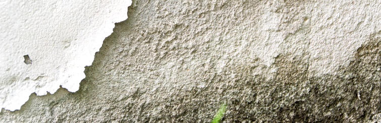 Banner Humitats Banner Humitats